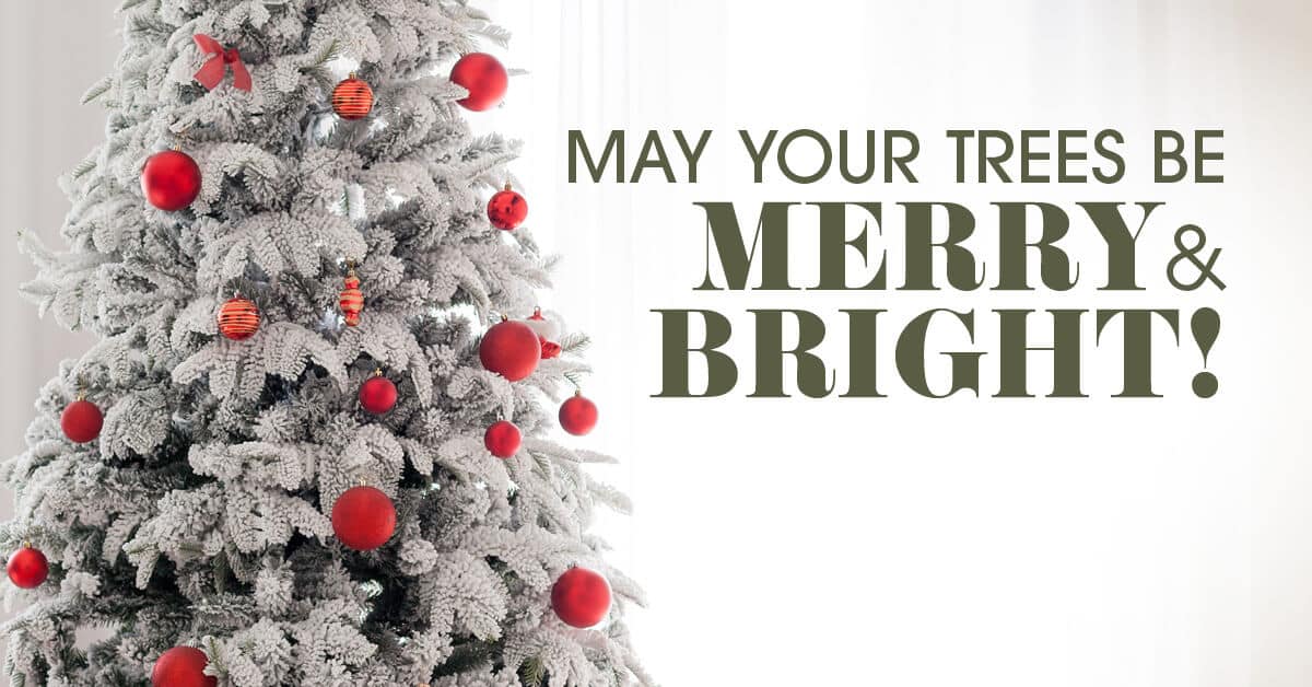 May Your Trees be Merry and Bright Banner